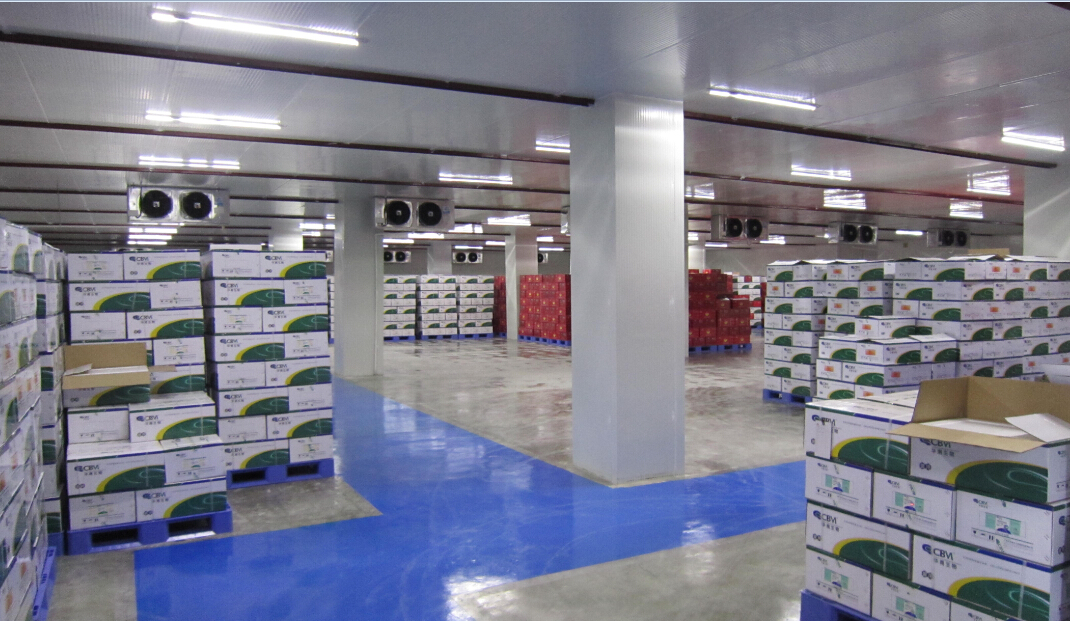 成品藥冷庫(kù)